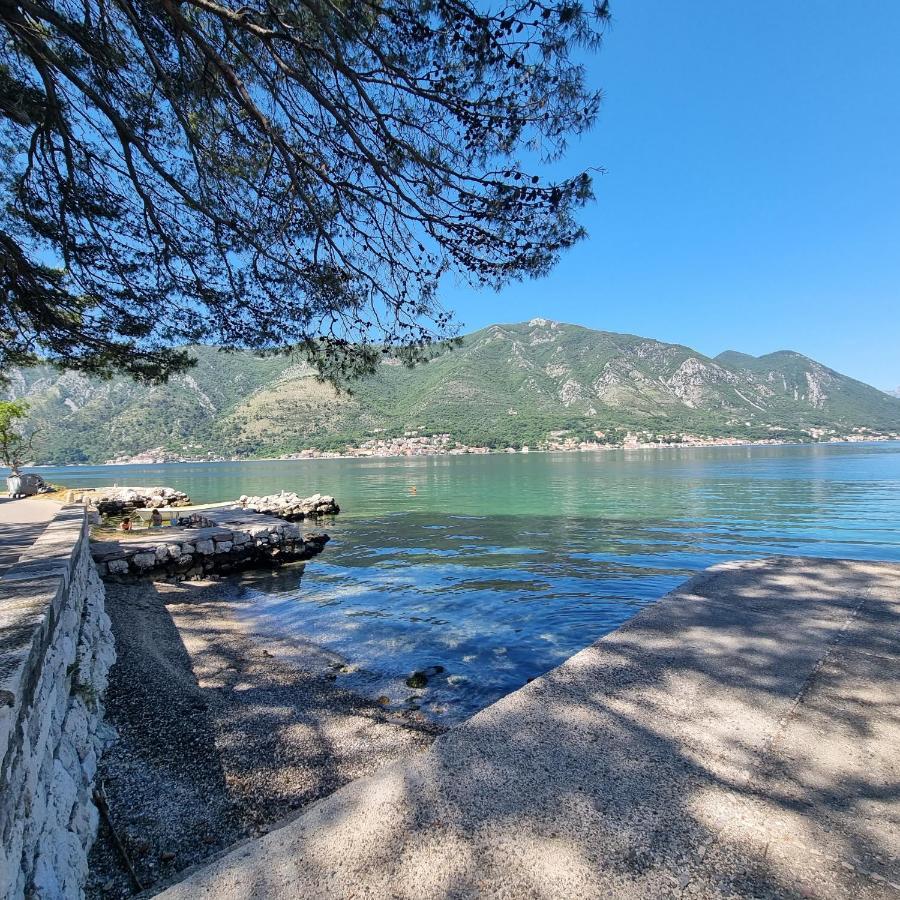 Lovely Apartment Jovan 3,With A View Of The Bay And Free Wi-Fi Kotor Eksteriør billede
