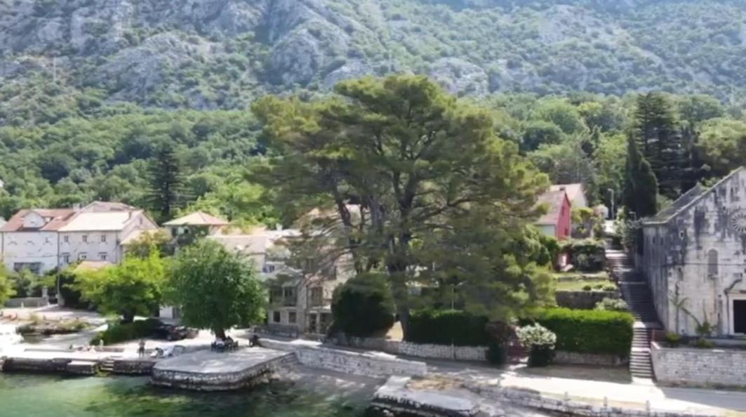 Lovely Apartment Jovan 3,With A View Of The Bay And Free Wi-Fi Kotor Eksteriør billede